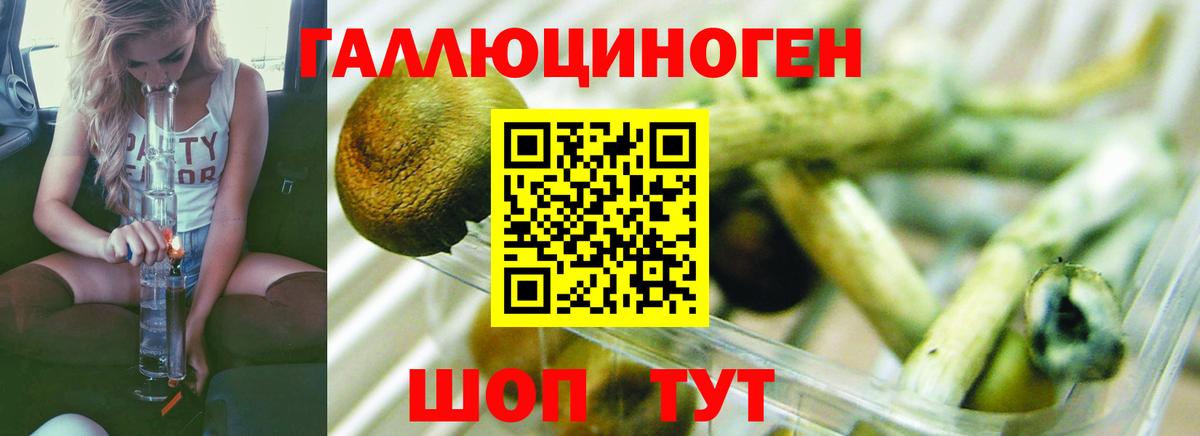 Псилоцибиновые грибы Psilocybine cubensis  Вход с VPN  Можайск 